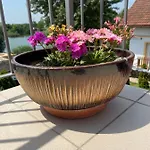 Silvia