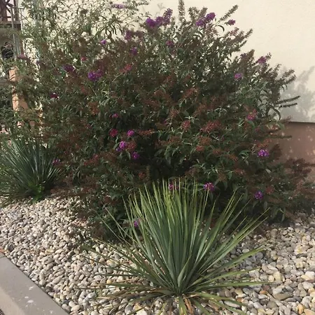 Silvia * Dunajská Streda