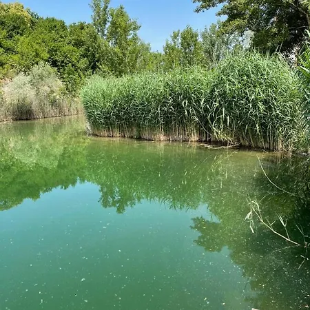 Silvia Dunajská Streda