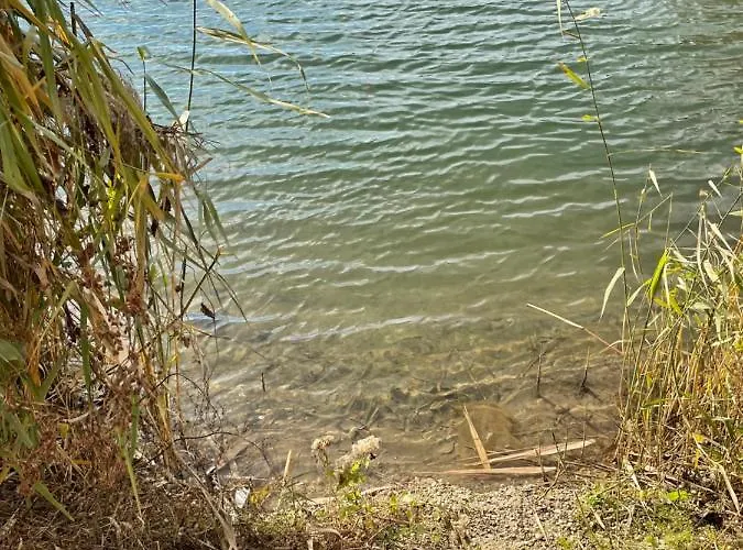 Appartamento Silvia *