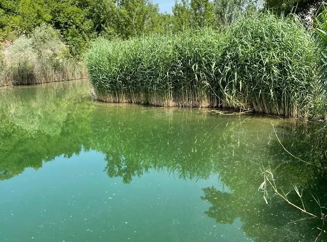 Silvia Dunajská Streda